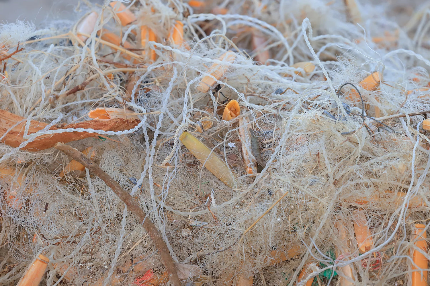 Mit ECONYL® gegen die Plastikflut!