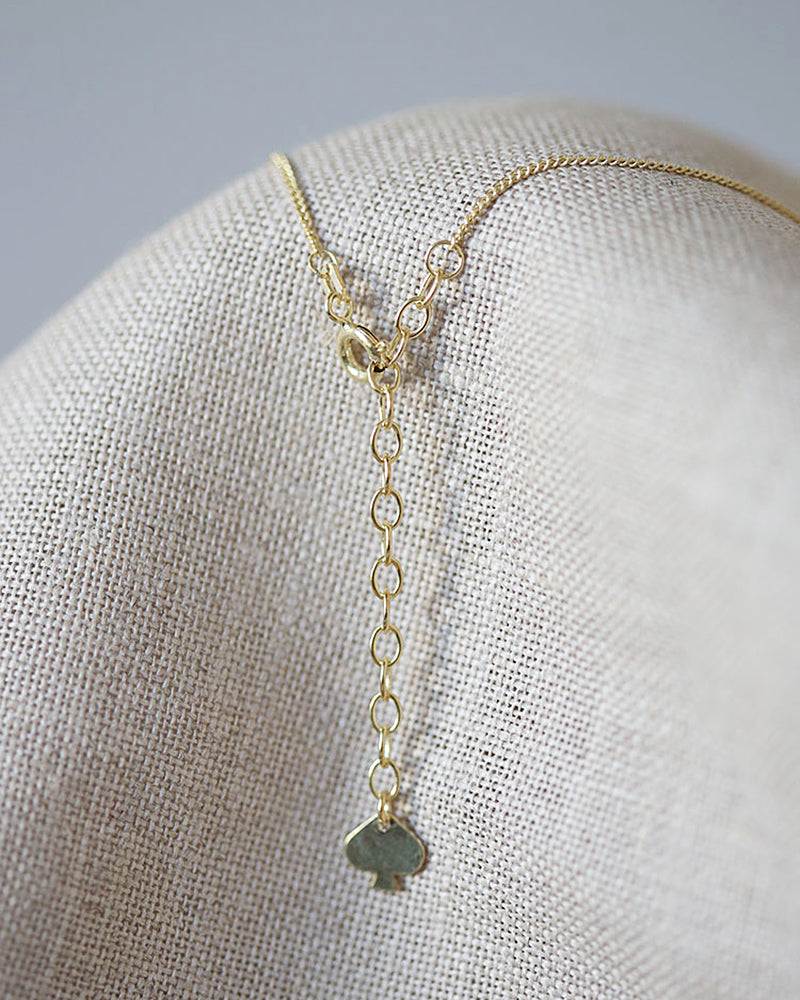 Pikfine Extender Verlängerungskette