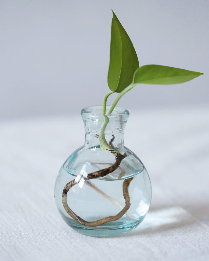 mini cutting vase “Kula”